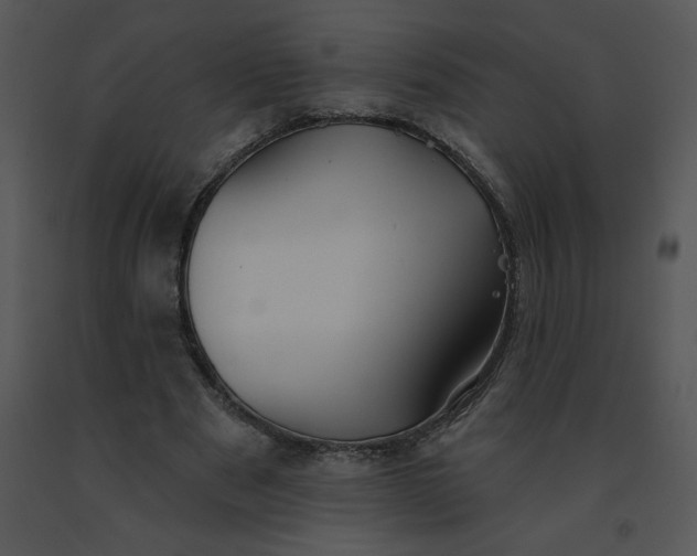 X0000091510489200708311230