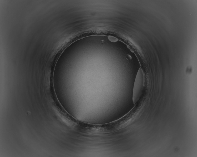 X0000091510493200708311230