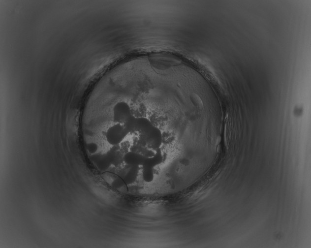 X0000091510495200708311230