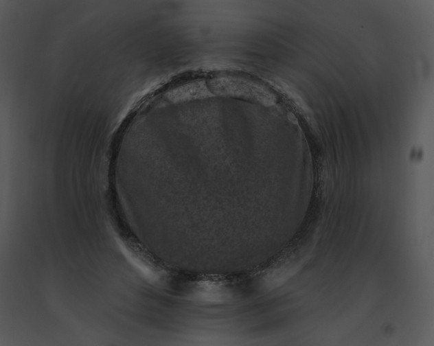 X0000091510496200708311230