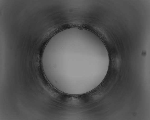 X0000091510498200708311230