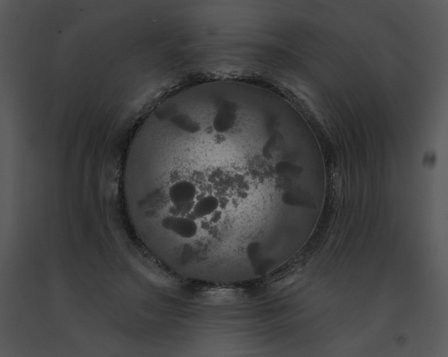 X0000091510499200708311230