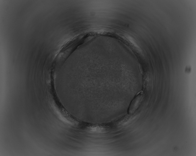 X0000091510500200708311230