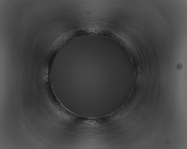 X0000091510502200708311230