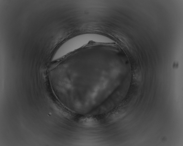 X0000091510503200708311230