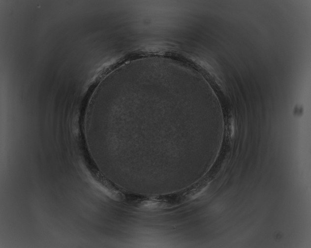 X0000091510504200708311230