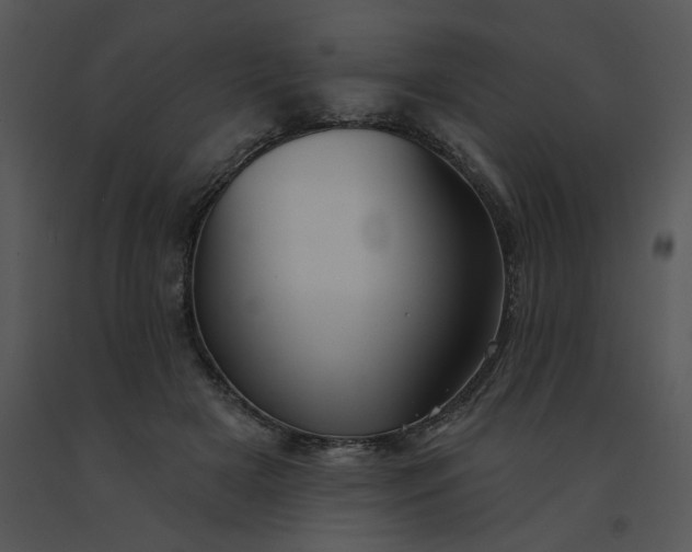 X0000091510505200708311230