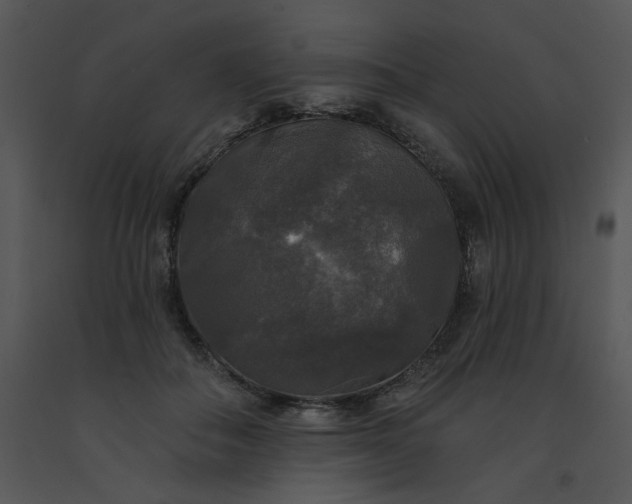 X0000091510506200708311230