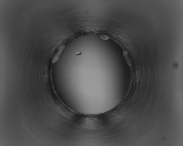 X0000091510508200708311230