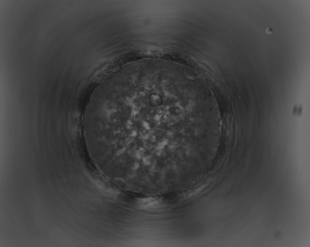 X0000091510511200708311230