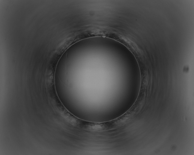 X0000091510513200708311230