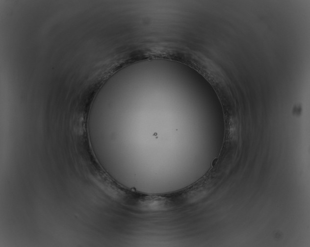 X0000091510514200708311230