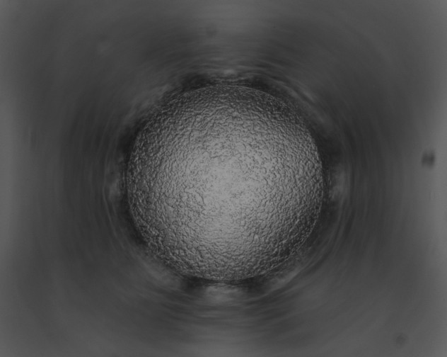 X0000091510515200708311230