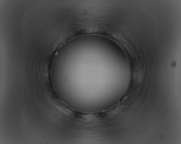 X0000091510516200708311230