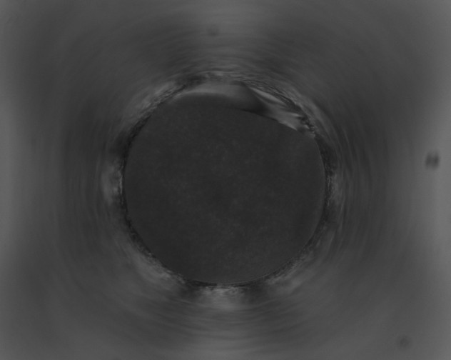 X0000091510517200708311230