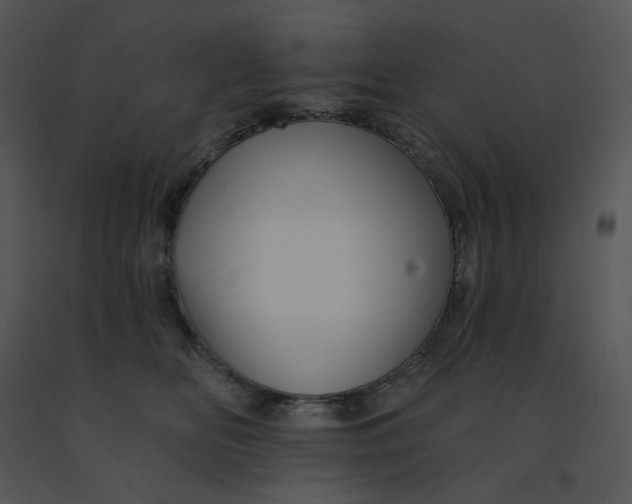 X0000091510518200708311230