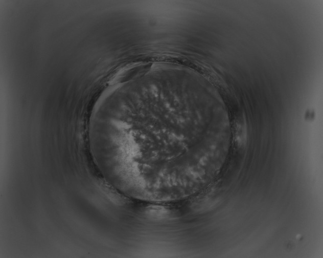 X0000091510519200708311230