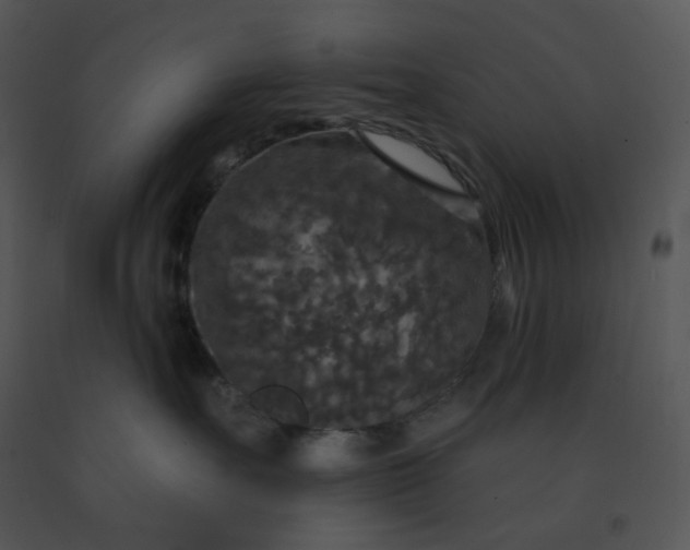 X0000091510527200708311230