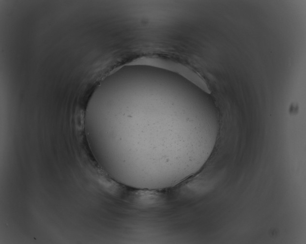 X0000091510528200708311230