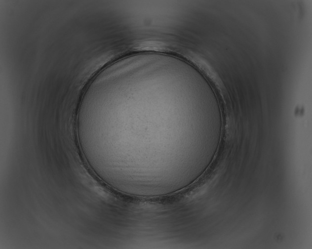 X0000091510529200708311229