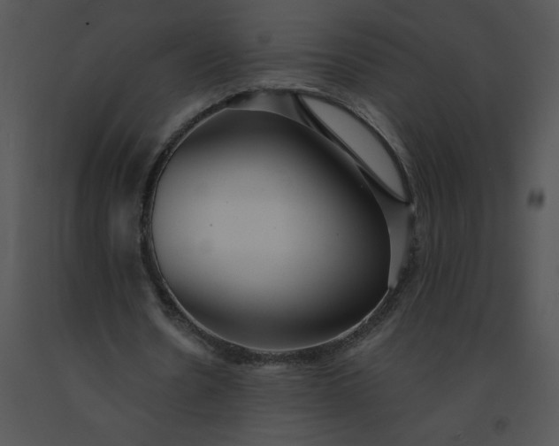 X0000091510530200708311229