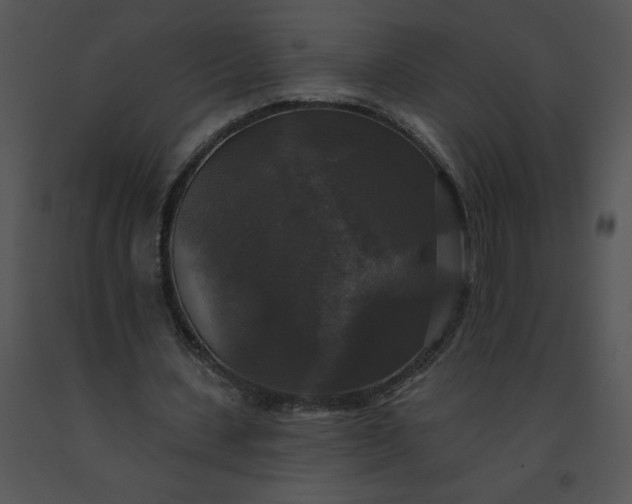 X0000091510531200708311229