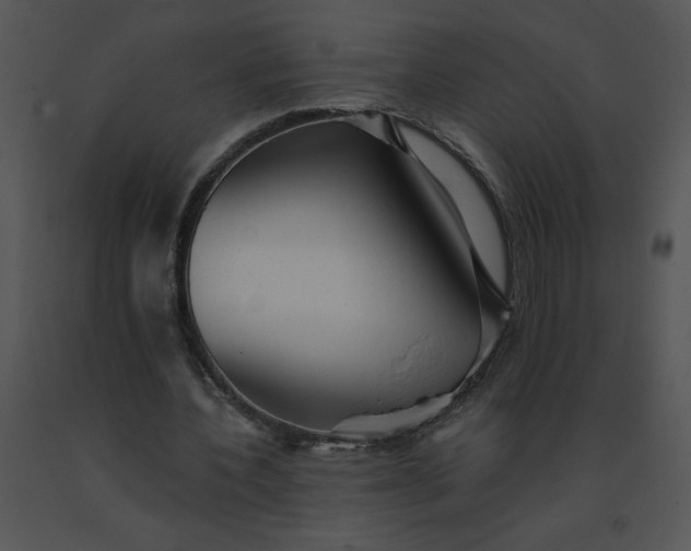 X0000091510532200708311229