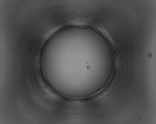 X0000091510533200708311229