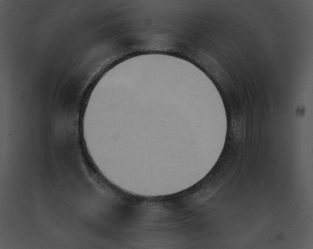 X0000091510534200708311229