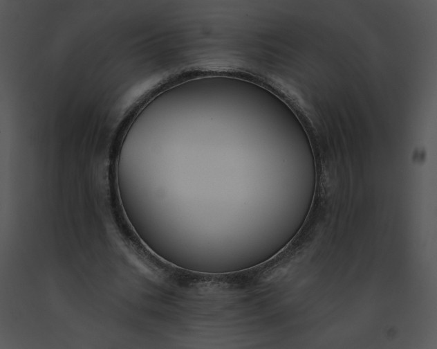 X0000091510535200708311229