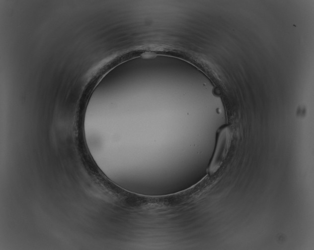 X0000091510536200708311229