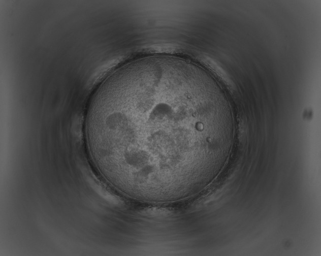 X0000091510537200708311229