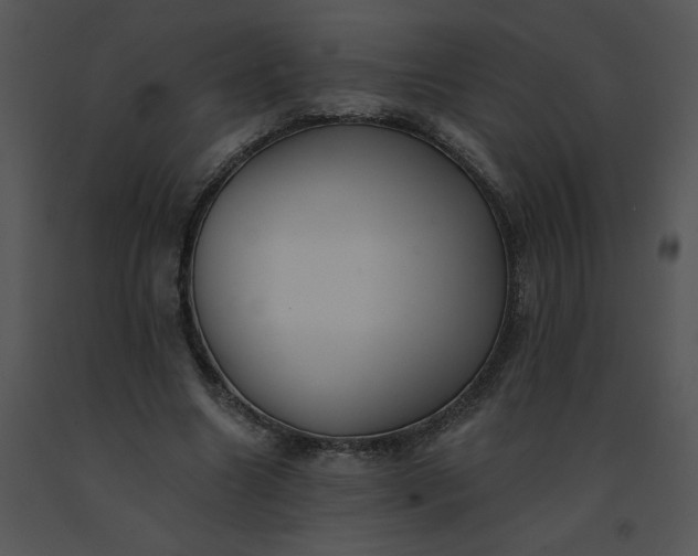 X0000091510538200708311229