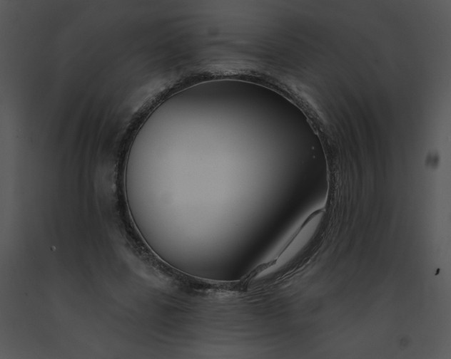 X0000091510539200708311229