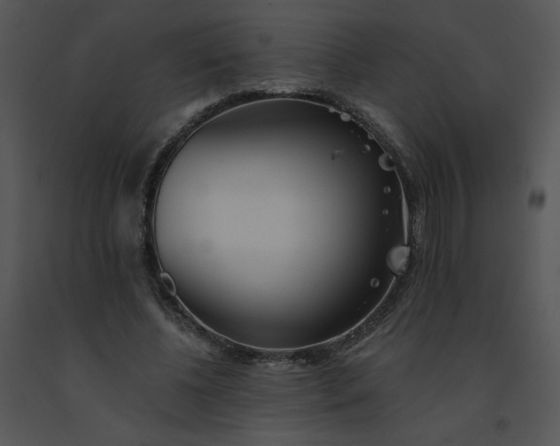 X0000091510540200708311229