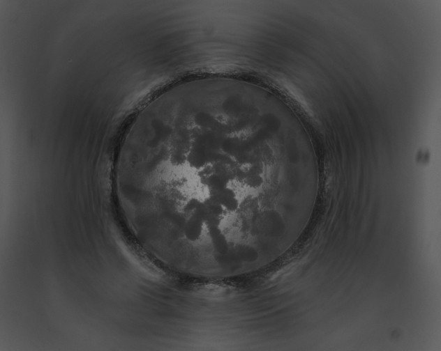 X0000091510542200708311229