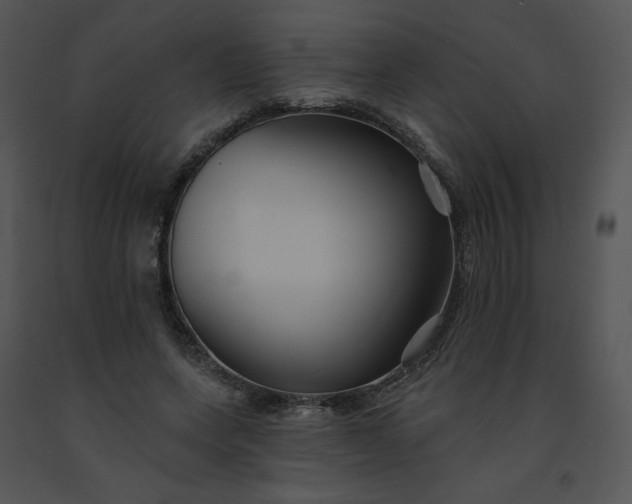 X0000091510543200708311229