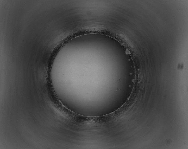 X0000091510544200708311229