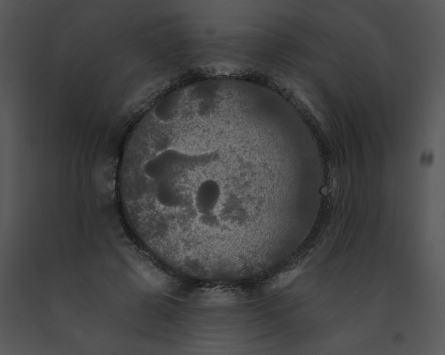 X0000091510545200708311229