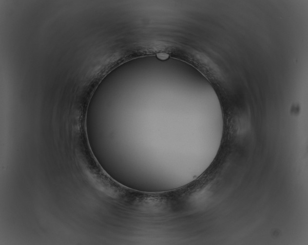 X0000091510546200708311229