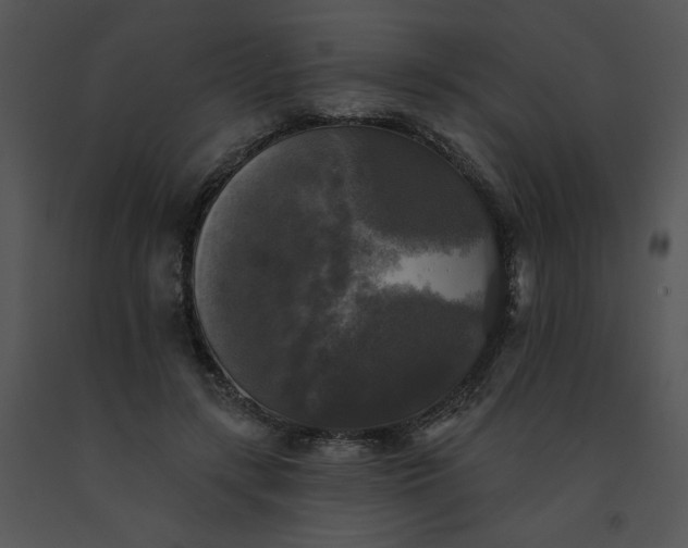 X0000091510547200708311229