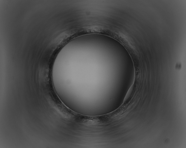 X0000091510548200708311229