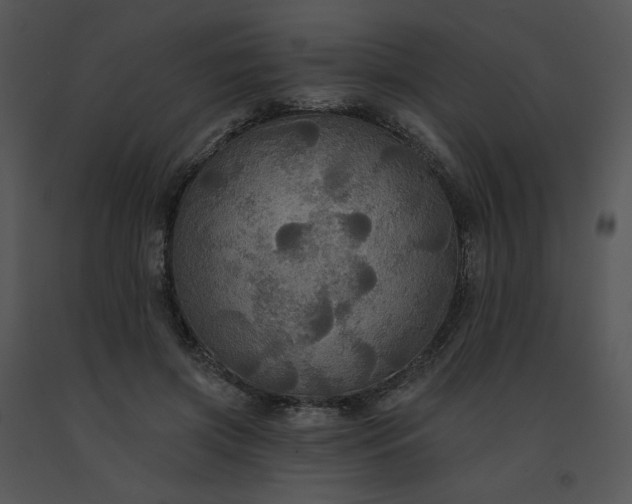 X0000091510549200708311229