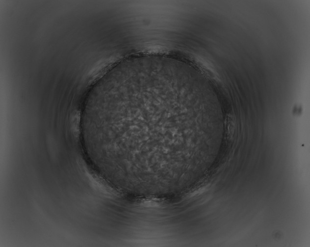 X0000091510550200708311229