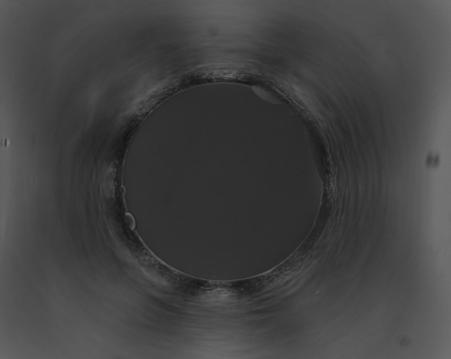 X0000091510551200708311229