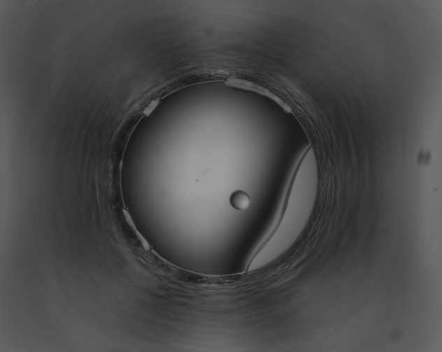 X0000091510552200708311229