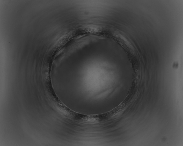 X0000091510553200708311229