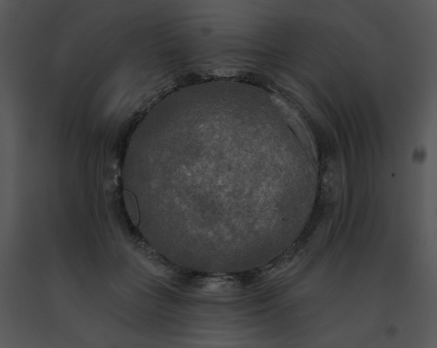 X0000091510555200708311229