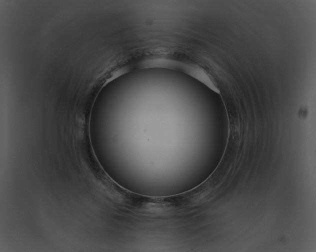 X0000091510556200708311229