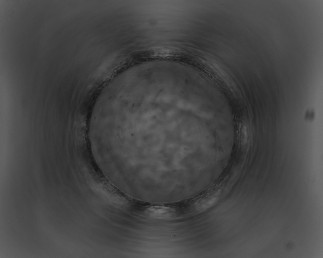 X0000091510557200708311229